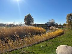 -安德鲁户外烧烤帐篷营地(马泉营店)