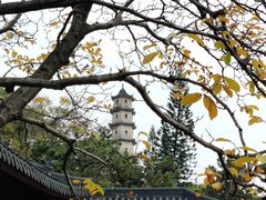 -江心屿景区