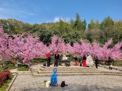-三国水浒景区(无锡影视基地)