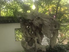 -上海醉白池公园