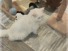 -小时光咖啡馆(开森度假森林店)