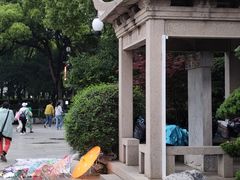 -苏州古运河游船(新市桥码头)