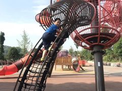 -枫香湖儿童公园