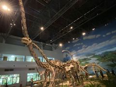 -自贡恐龙博物馆