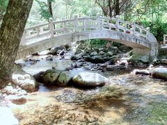 -陕西省红河谷森林公园