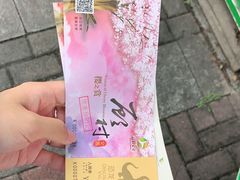 -自然谷恐龙园
