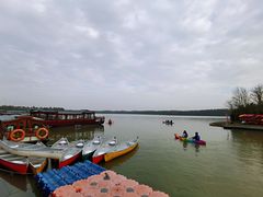 -上海海湾国家森林公园