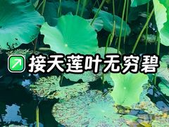 -花溪公园