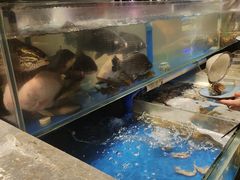 -喜庭海鲜自助(佛山王府井店)