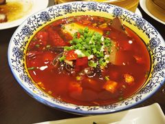 毛血旺-京香轩·中餐厅(上海中庚聚龙酒店)