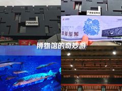 -广东省博物馆