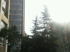 -匠心食府(草滩四路店)