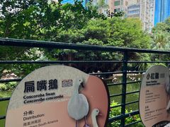 -九龙公园