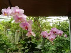 -南通洲际绿博园