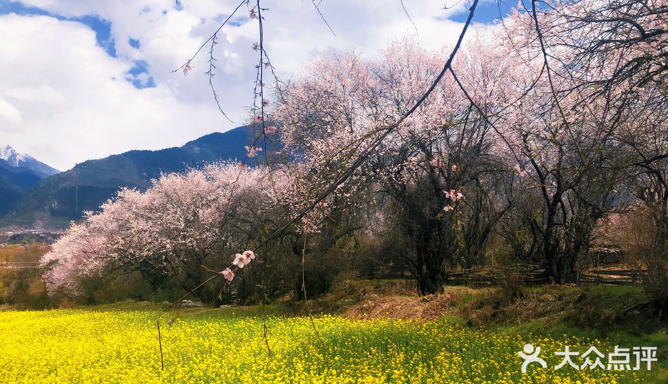 三生三世十里桃花