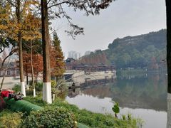 -重庆彩云湖湿地公园