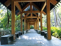 -深圳湾公园(南山区)