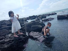 -硇洲岛旅游区