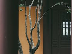 -慧因高丽寺