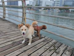 -美兰湖景区