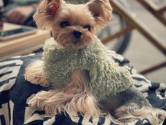 -小龍鳳餐室(番禺路店)