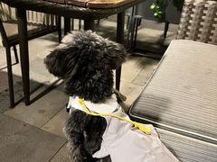 -OGGI TRATTORIA PIZZERIA(深业上城店)
