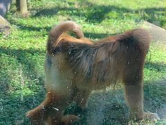 -西安秦岭野生动物园