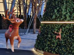 -深圳湾万象城(南山店)