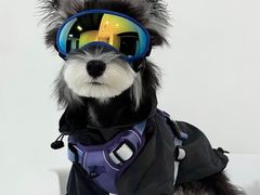 -博特宠物医院24h犬猫全科.骨科·异宠