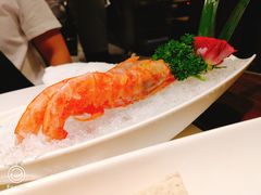 阿根廷大红虾-海底捞火锅(锦艺城店)