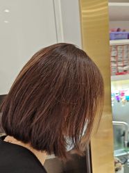 -YESIDO椰岛造型