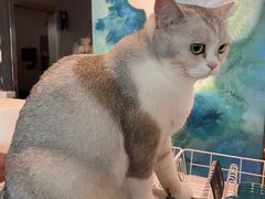 -咖法森林·咖啡  酒吧(天河店)