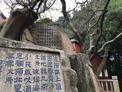 -乌山风景区