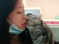 -lincat·猫舍(广州店)