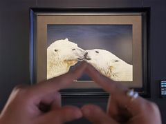 -罗红摄影艺术馆