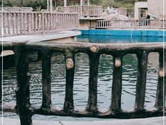 -广东惠东海龟国家级自然保护区