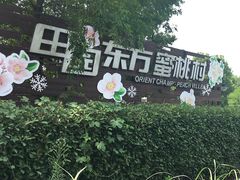 -田园东方蜜桃村的田野营地