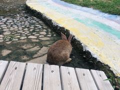 -欢乐松鼠谷