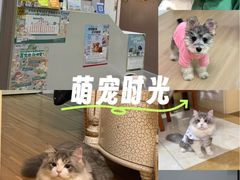 -派特宠物医院(圆融广场店)