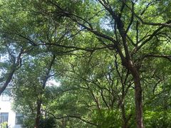 -杭州半山国家森林公园