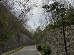 景点-小南山公园