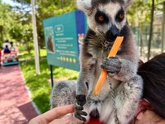 -水上乐园·欢乐世界