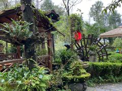 -青城甲(青城山店)