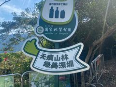 -杨梅坑