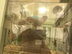 -龙猫仔乐园(惠福东路店)