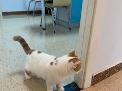 -宠瑞康动物医院