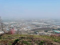 -盛世牡丹苑生态文化旅游区