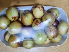 -PAGODA百果园(湛江城市美林店)