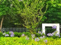 -重百超市(鲁能星城店)