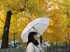 -重庆市江北嘴中央商务区中央公园